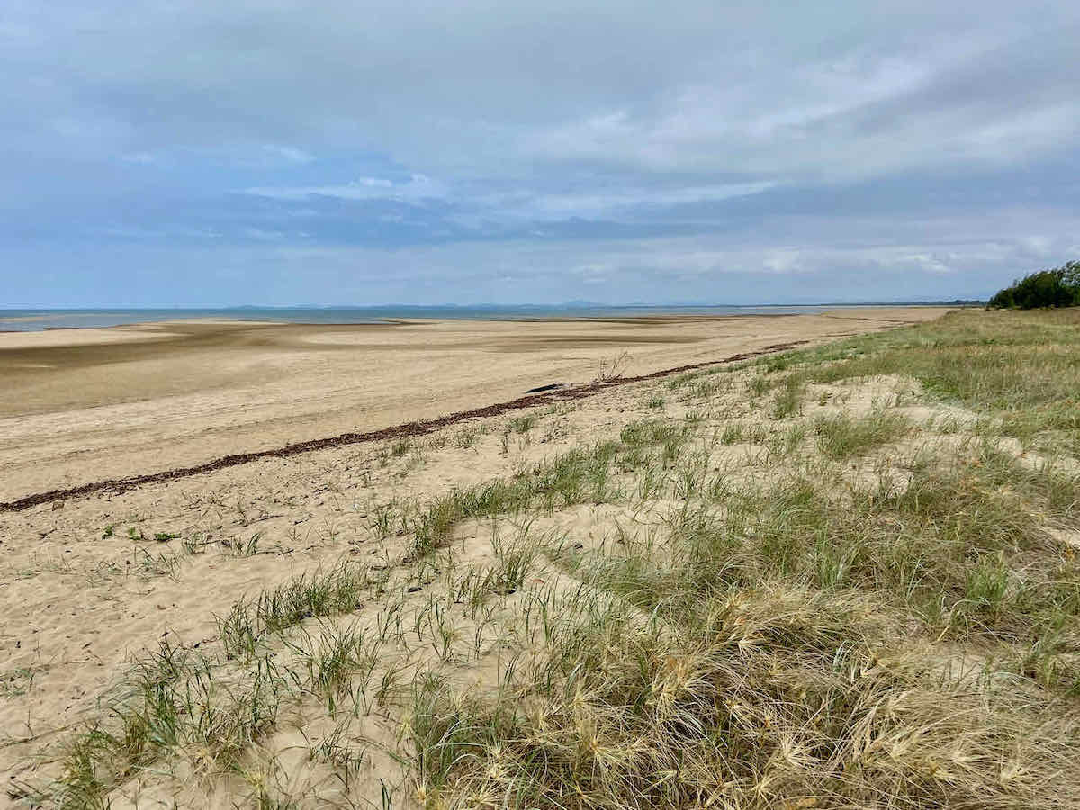 DogFriendly Mackay Visiting Mackay with a Dog Travelnuity