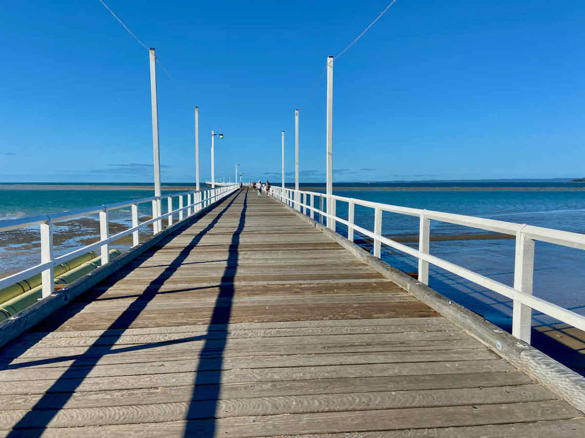 DogFriendly Hervey Bay Visiting Hervey Bay with a Dog Travelnuity