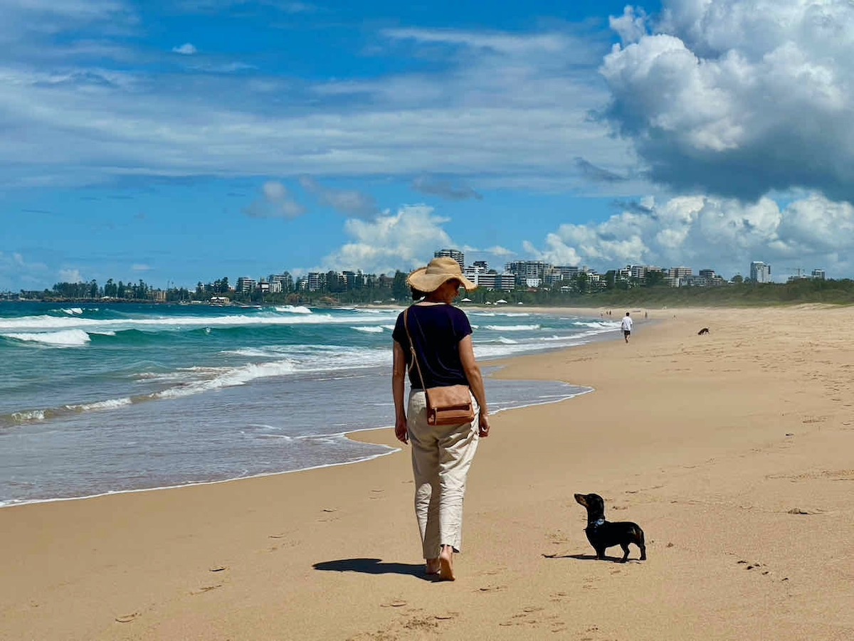 10 DogFriendly Beaches In and Around Wollongong Travelnuity