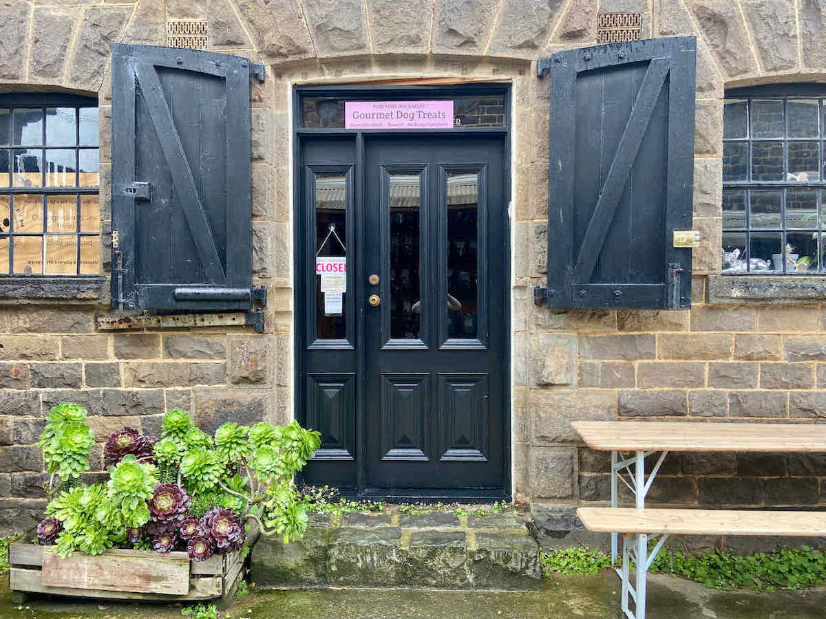 DogFriendly Geelong Visiting Geelong with a Dog Travelnuity