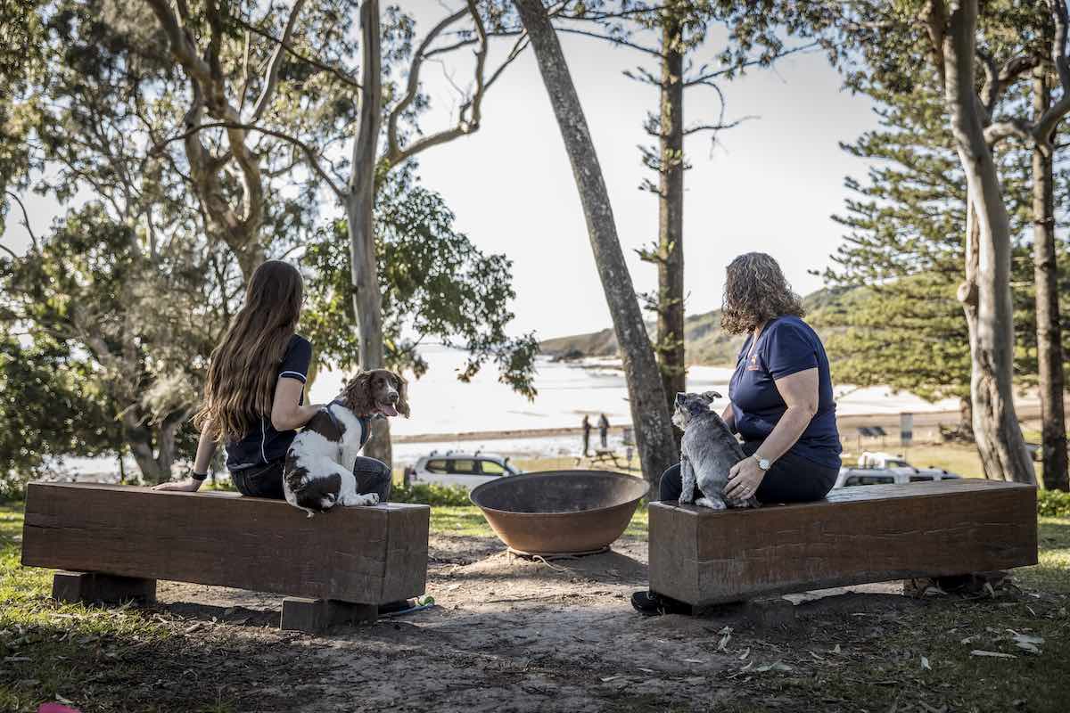 12 Extra DogFriendly Caravan Parks in NSW Travelnuity