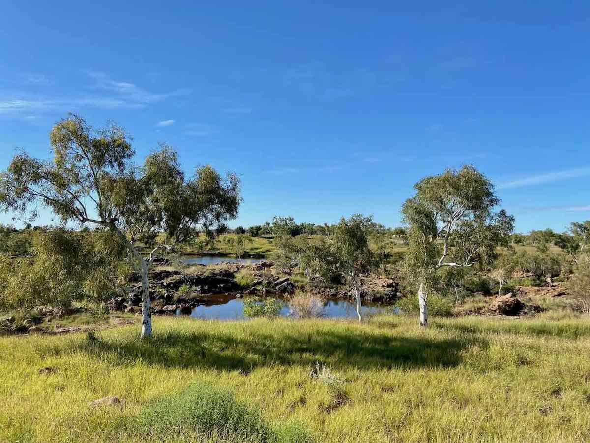 DogFriendly Karratha Visiting Karratha with a Dog Travelnuity