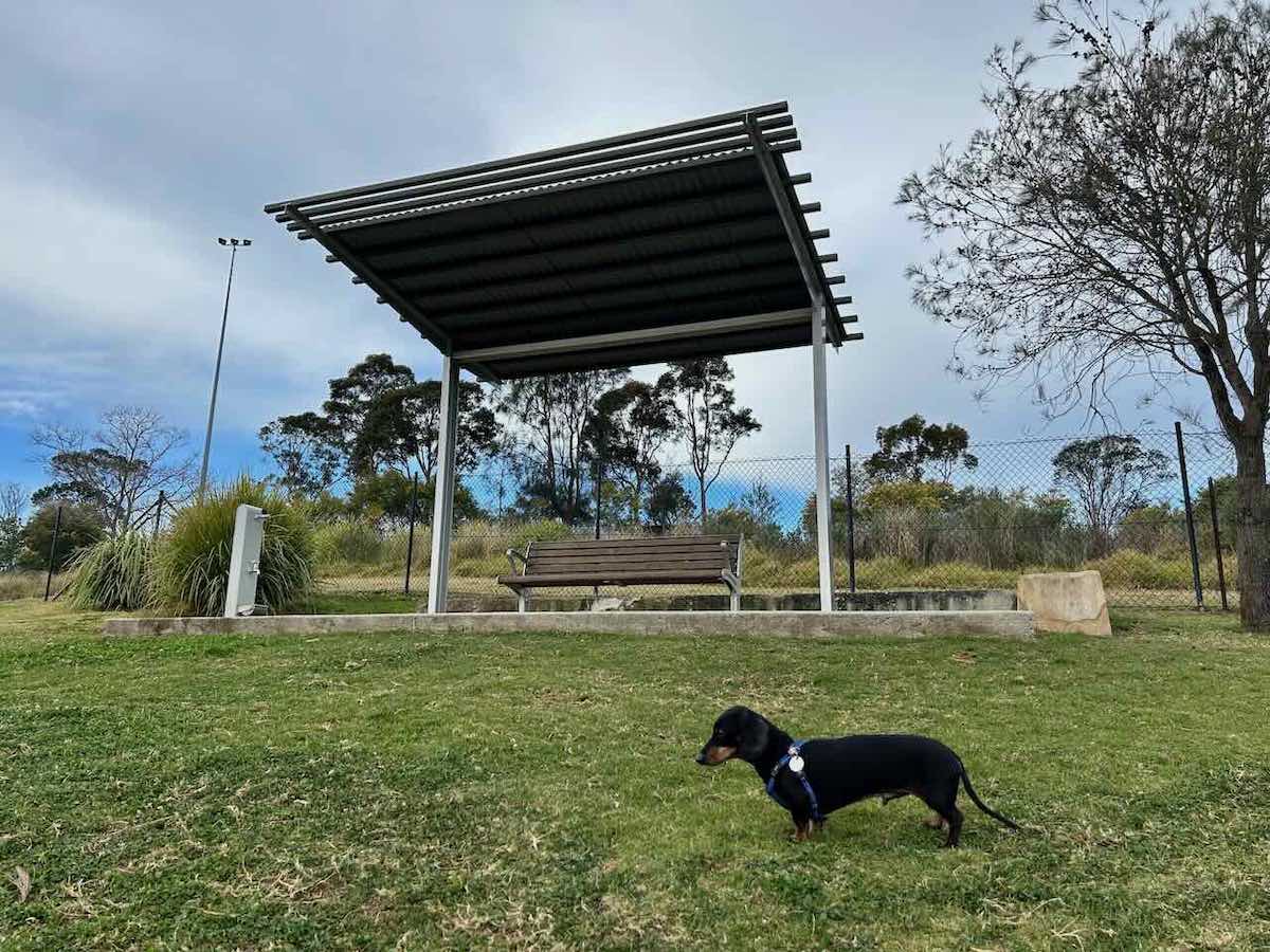 39 of the Best Fenced Dog Parks in NSW Travelnuity