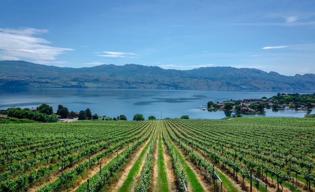 win a trip to kelowna