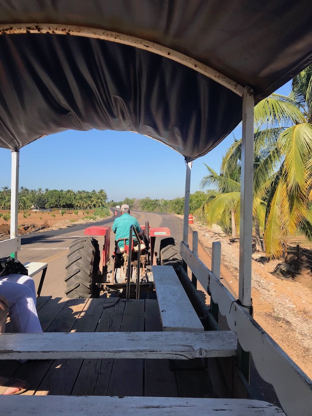 Mexican Limousine