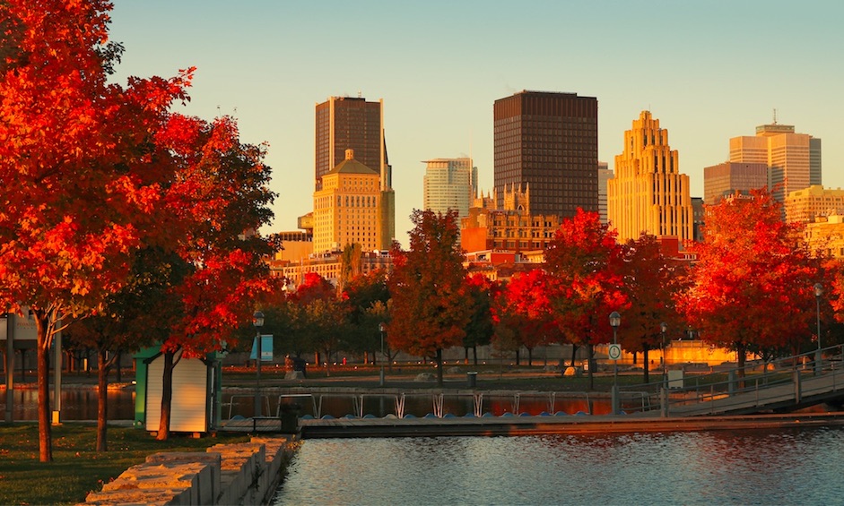 winnipeg flies direct to montreal