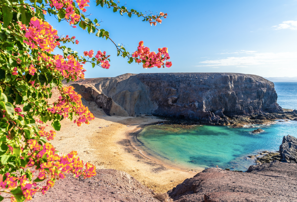 Top 5 U.S. Beaches To Visit This Spring Travel Off Path