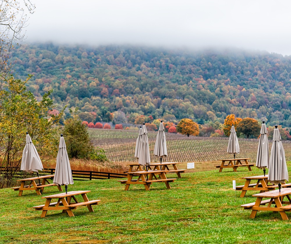 Top Destinations for Wine Tours in the US for Summer 2021