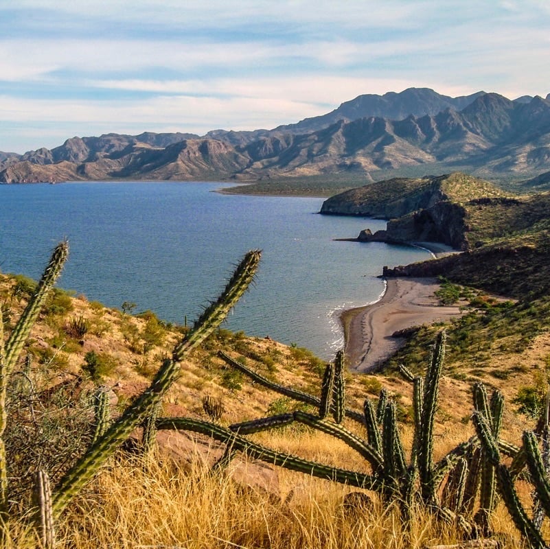 5 Reasons Why Travelers Should Visit Bahia de Los Angeles, Mexico