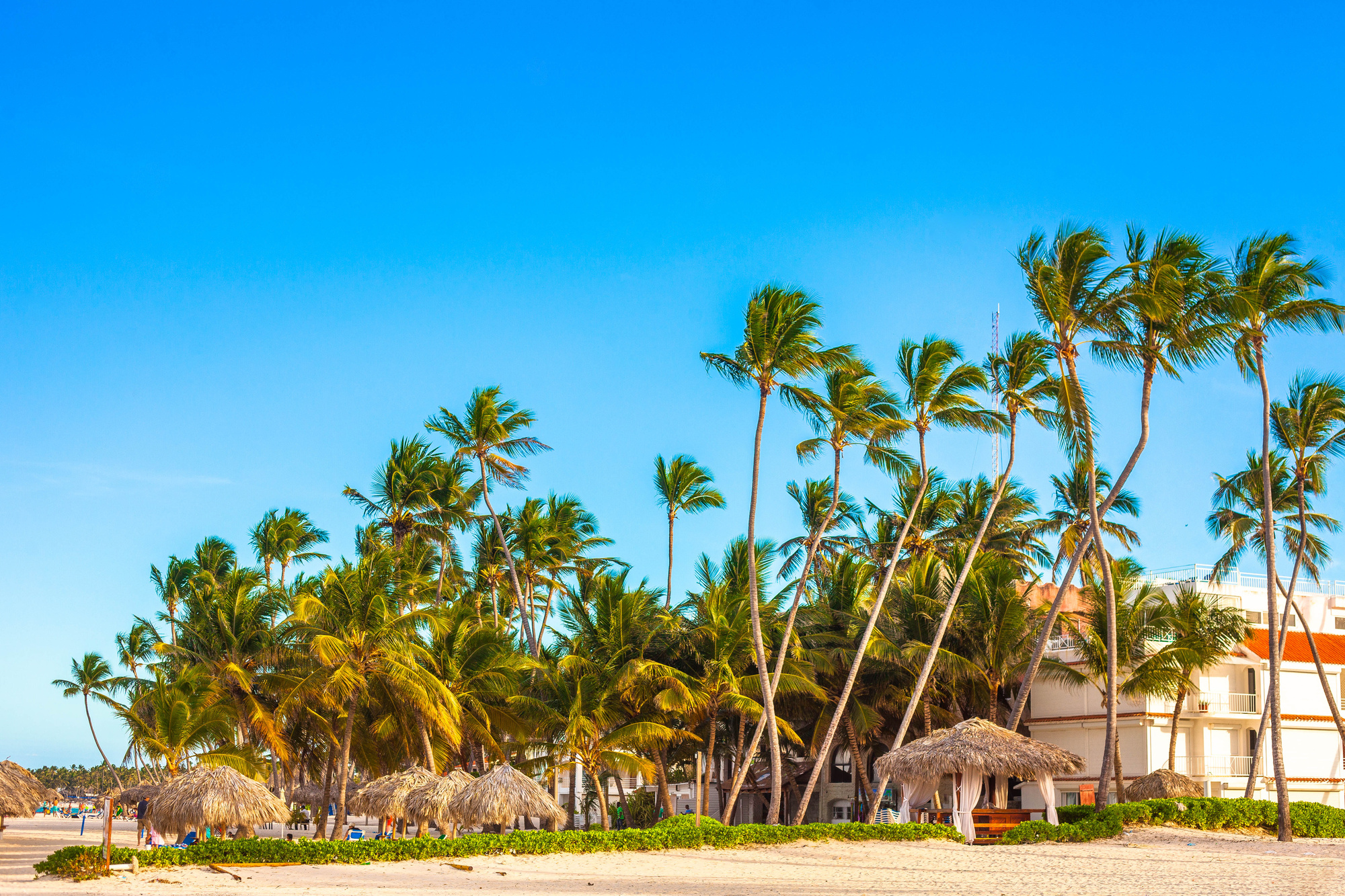 The Best Punta Cana Excursions Near Nickelodeon Hotels