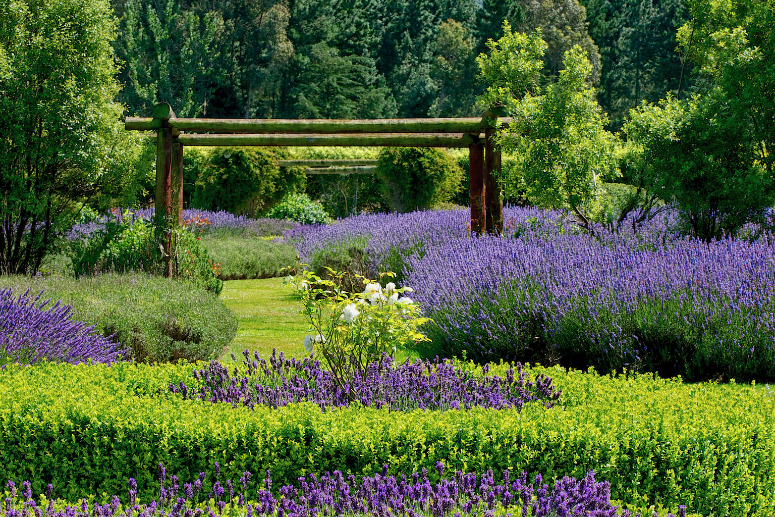 Canterbury Region and Christchurch New Zealand Travel Pacific