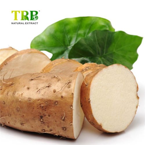Wholesale Wild Yam Extract manufacturers and suppliers Tong Rui BioTech