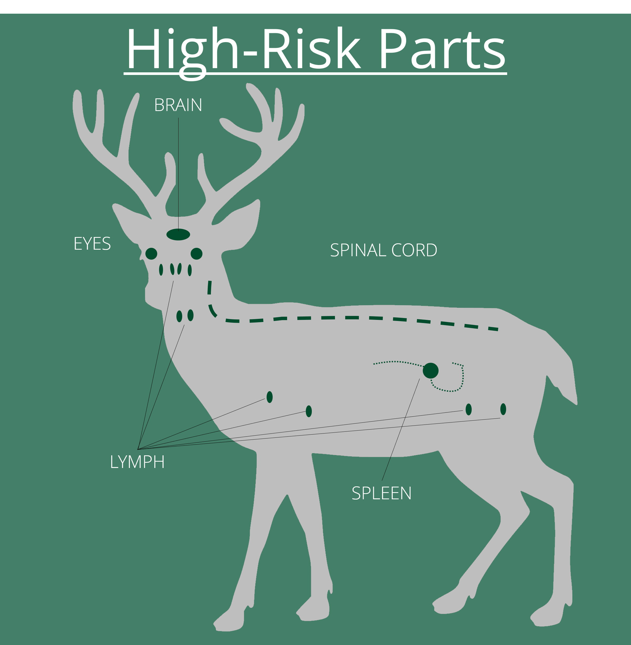 CWD High Risk Parts (blog version) Theodore Roosevelt Conservation