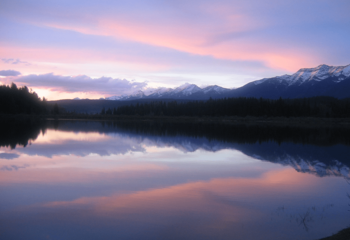 The Lolo and Bitterroot National Forests Theodore Roosevelt