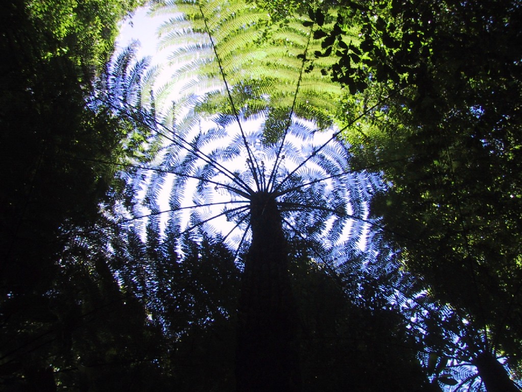 Walking Tours Gallery Tread Lightly eco tours