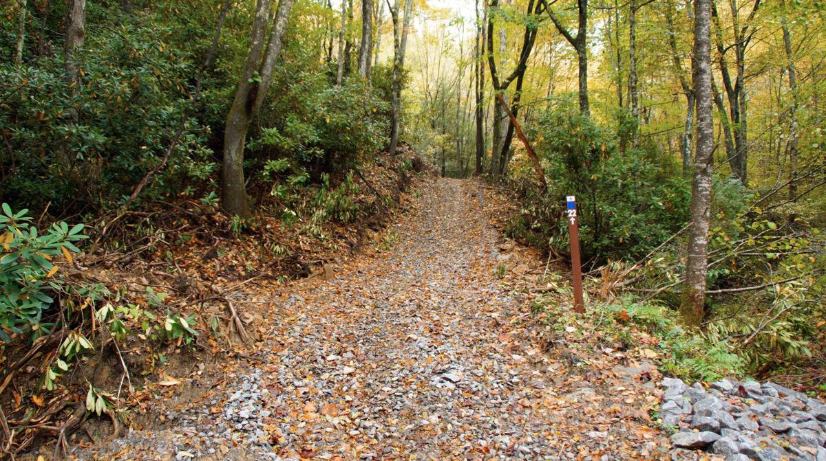 Pocahontas Trail System Treadworld