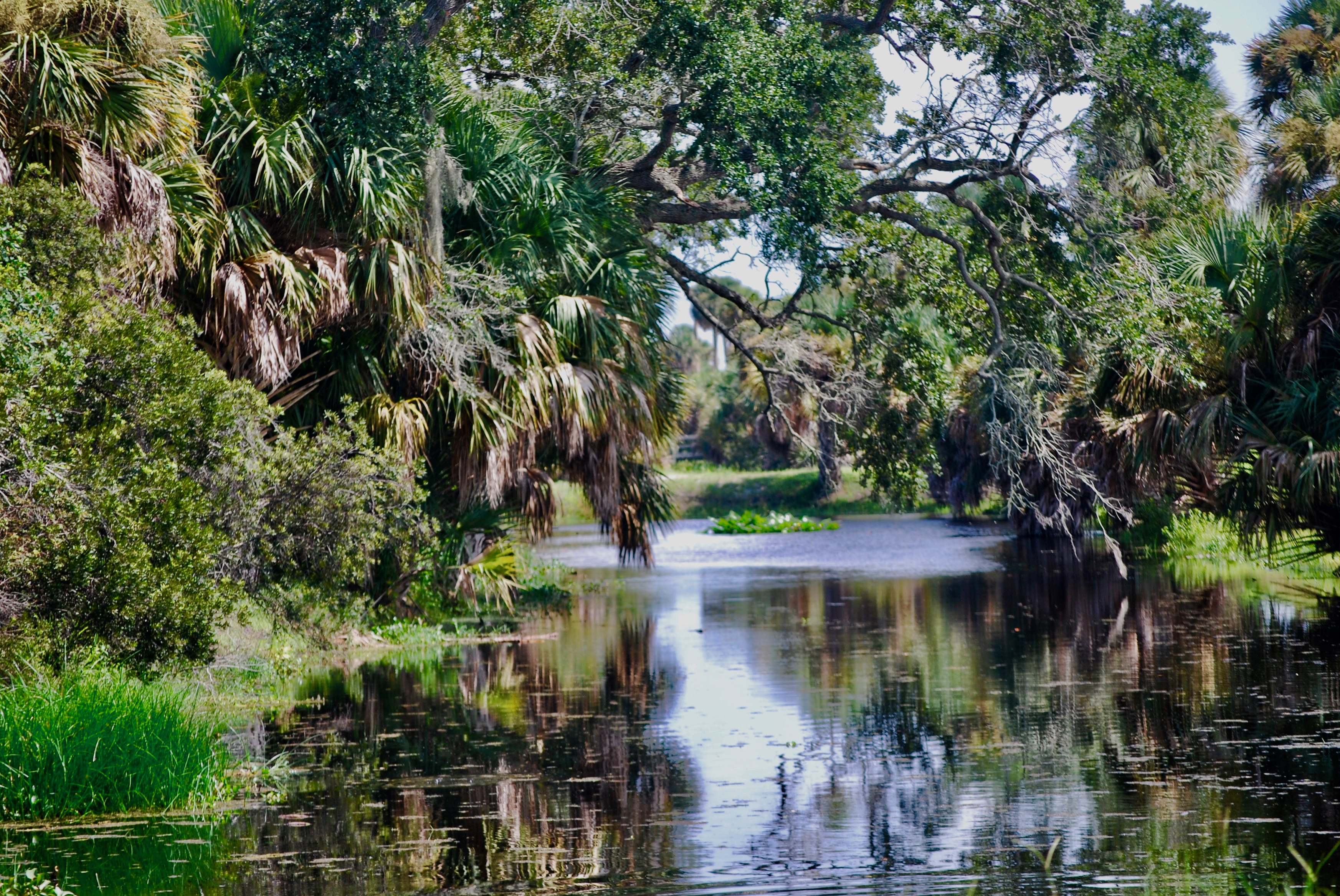 Savannah Recreation Dog Park Treasure Coast Local News & Local Events
