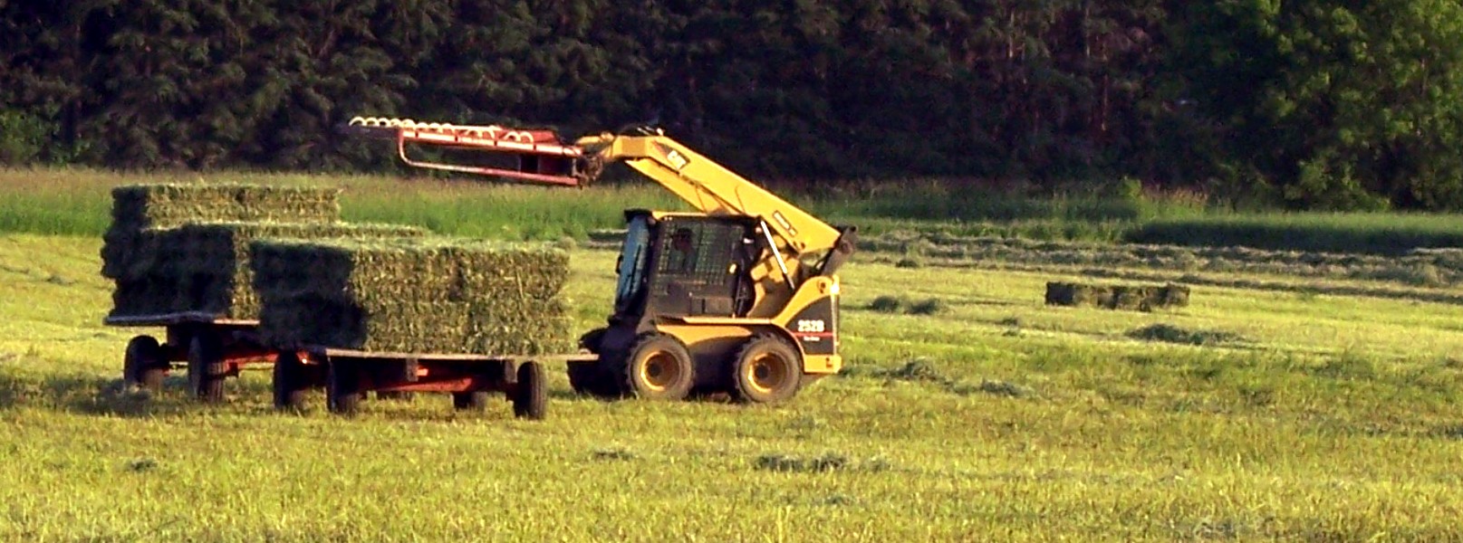 Certified Organically Grown Hay from Treasured Haven Farm