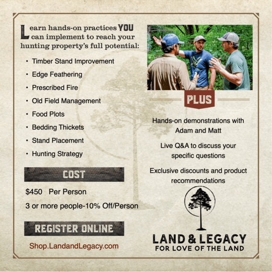 Land & Legacy Habitat Alabama Alabama TREASURE Forest