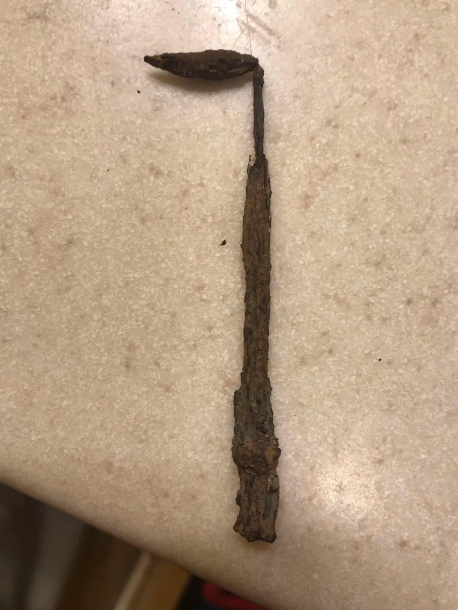 Help identify artifact 🧭 The Original Treasure Hunting