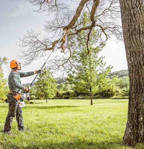 Tree Cutting Services by Tree Cutting Pros