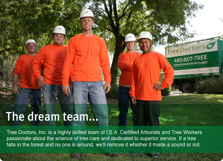 Tree Doctors Phoenix Arizona tree service, Phoenix Arizona tree