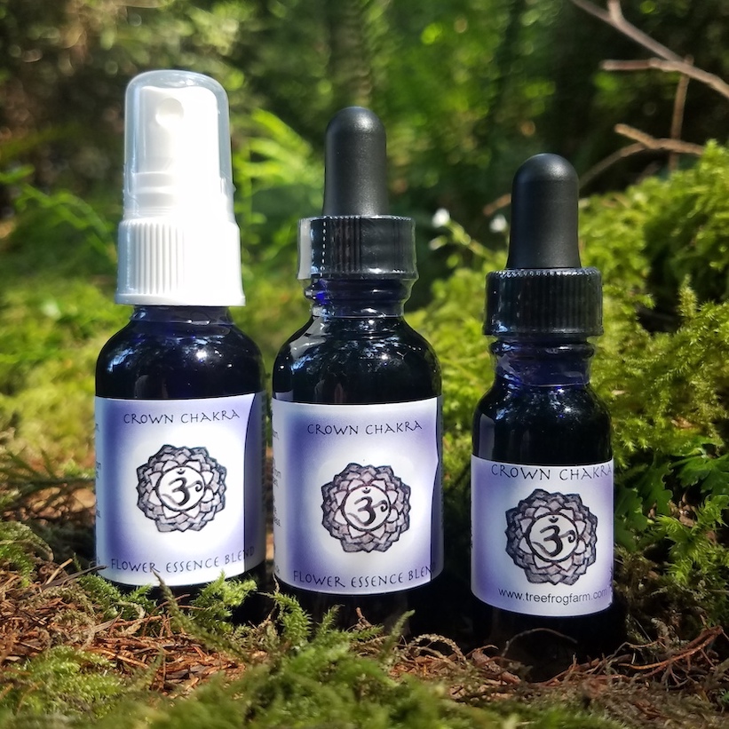 7th Chakra Crown Chakra Blend Flower Essence Tree Frog Farm Flower