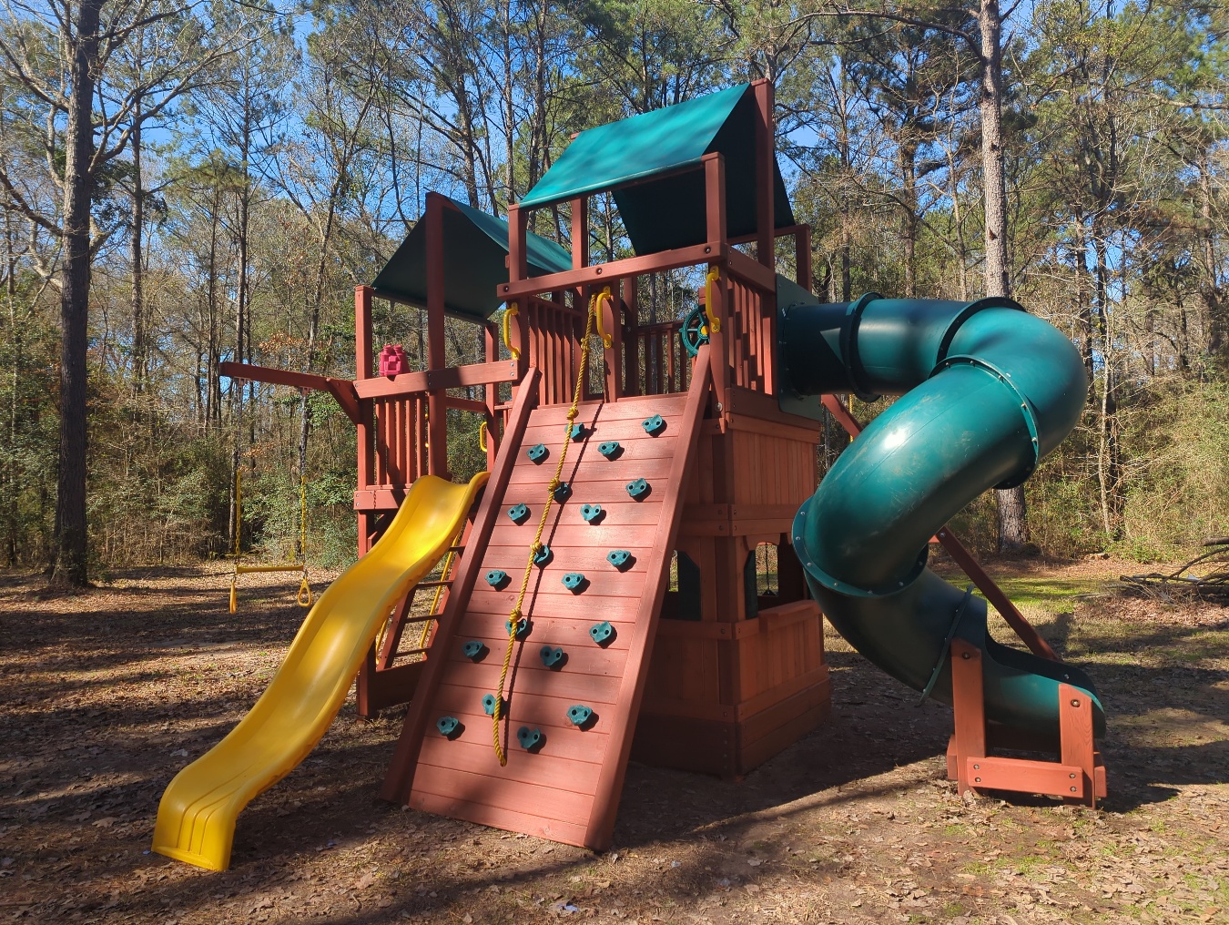 Home Treefrogs Swingsets