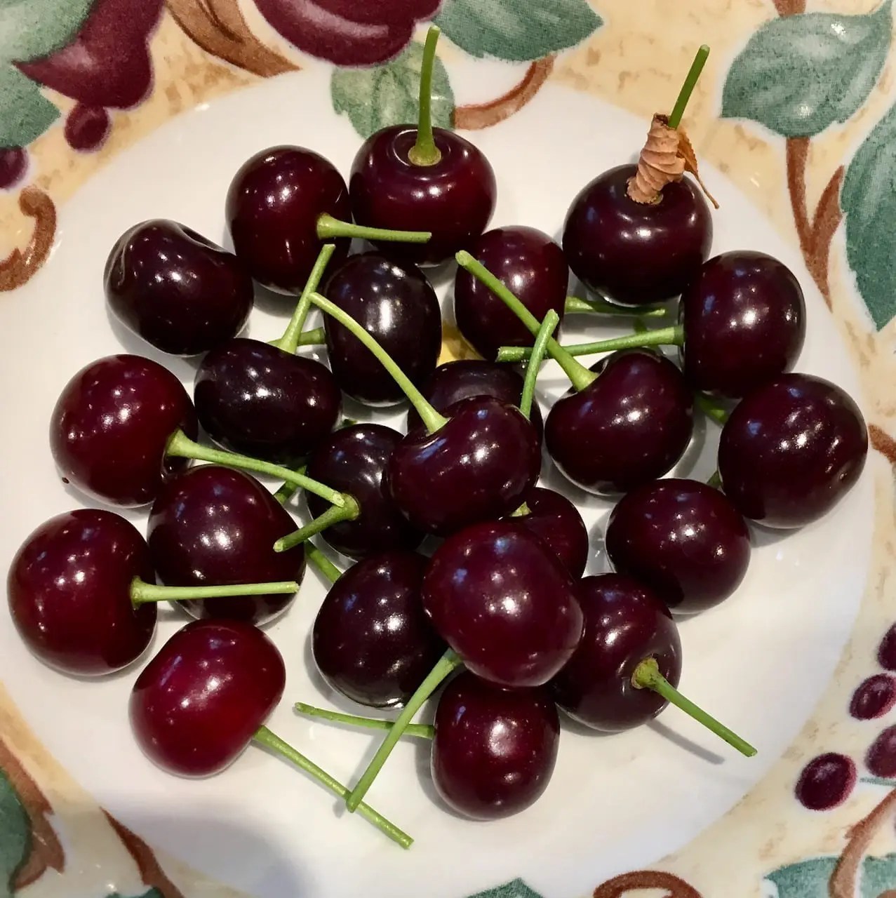 Dwarf Cherry Tree Guide UK Dwarf Cherry a year in pictures.