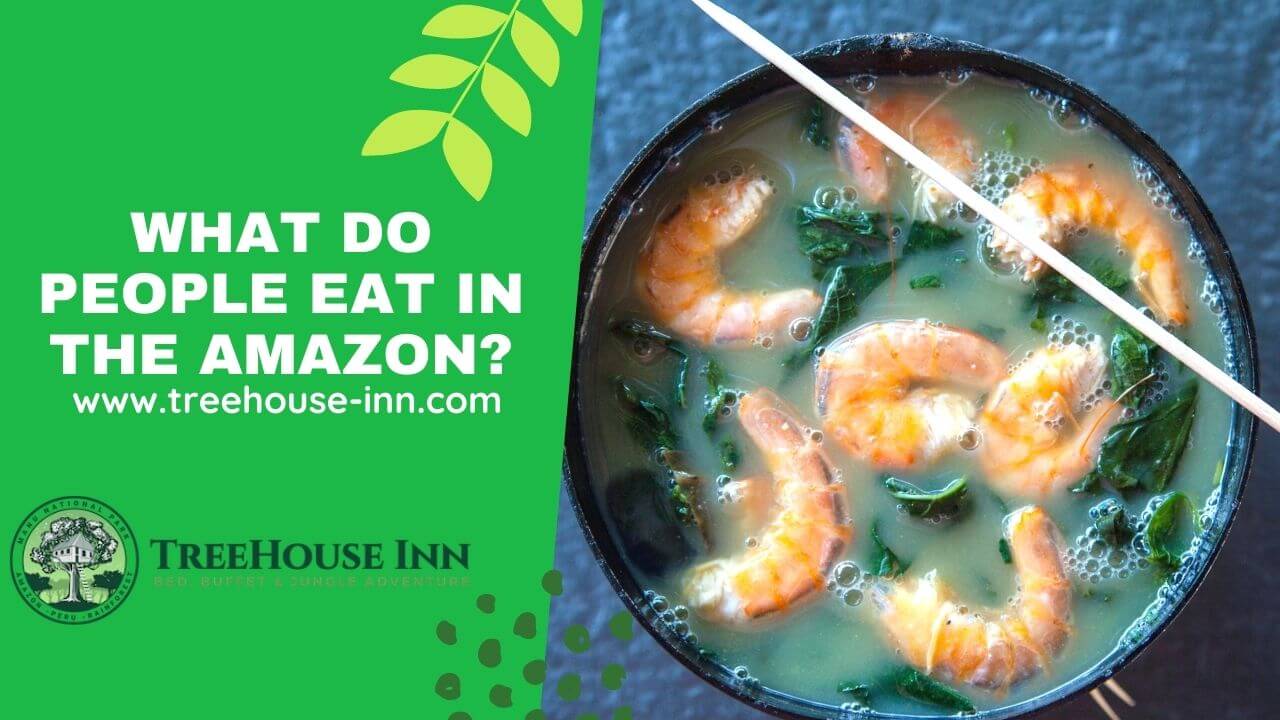 What Do People Eat In The Amazon? Treehouse Inn Lodge Peru