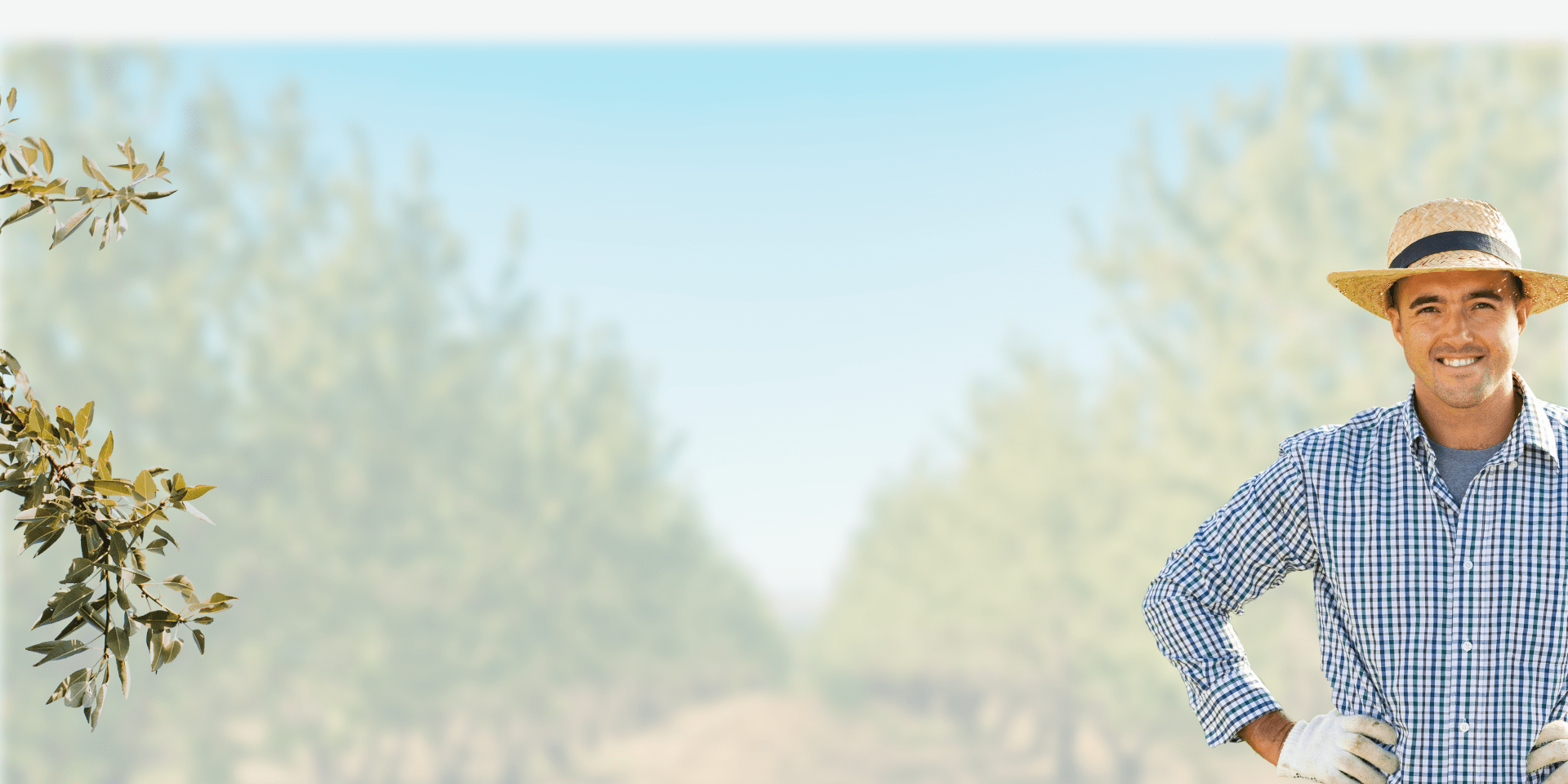 Grow With Us Treehouse California Almonds