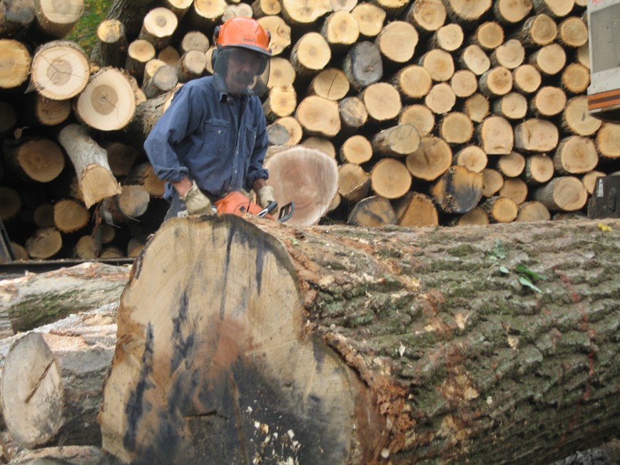 Logging & Land Clearing TREEMASTERS Groton, NY Logging