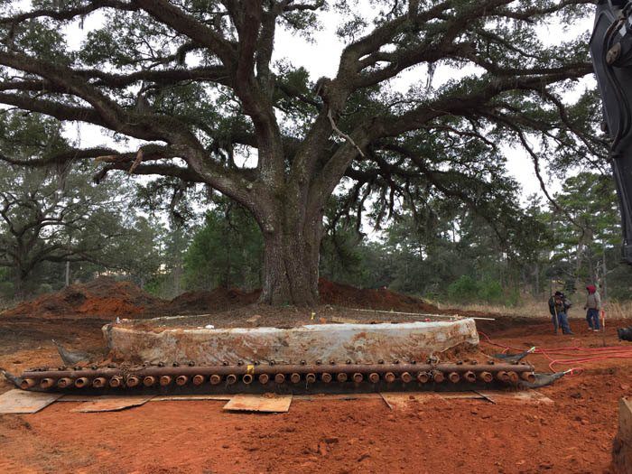 4 Oaks Plantation Treemover