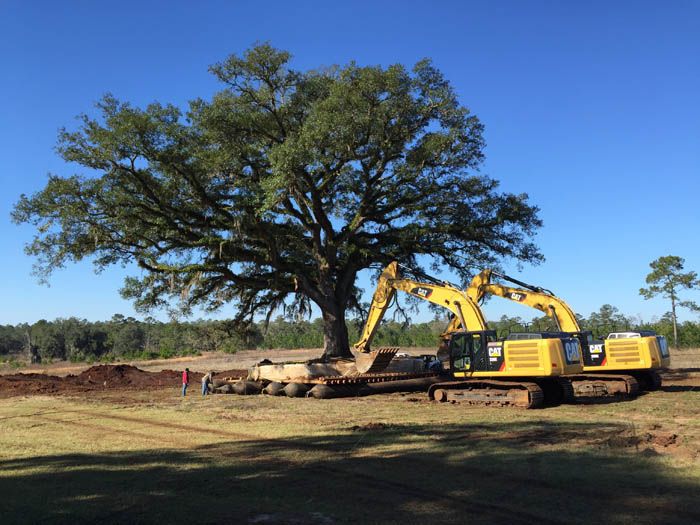 4 Oaks Plantation Treemover