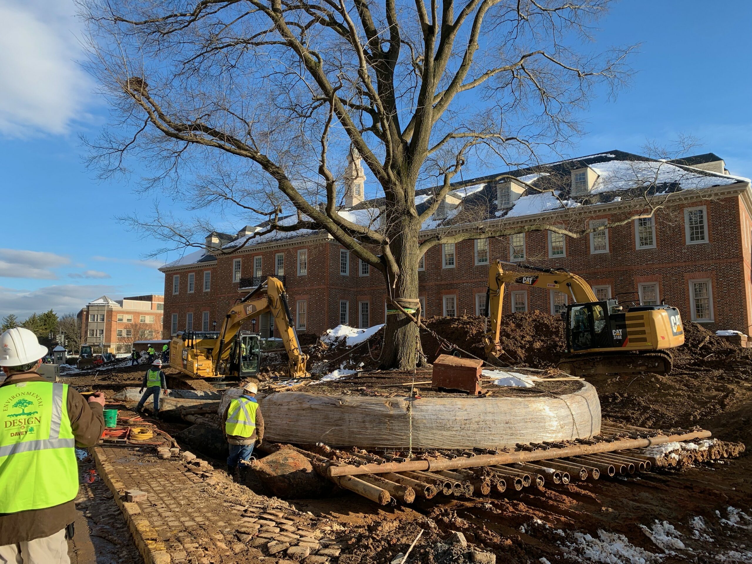 What is ArborLift®? A Guide for Moving Big Trees