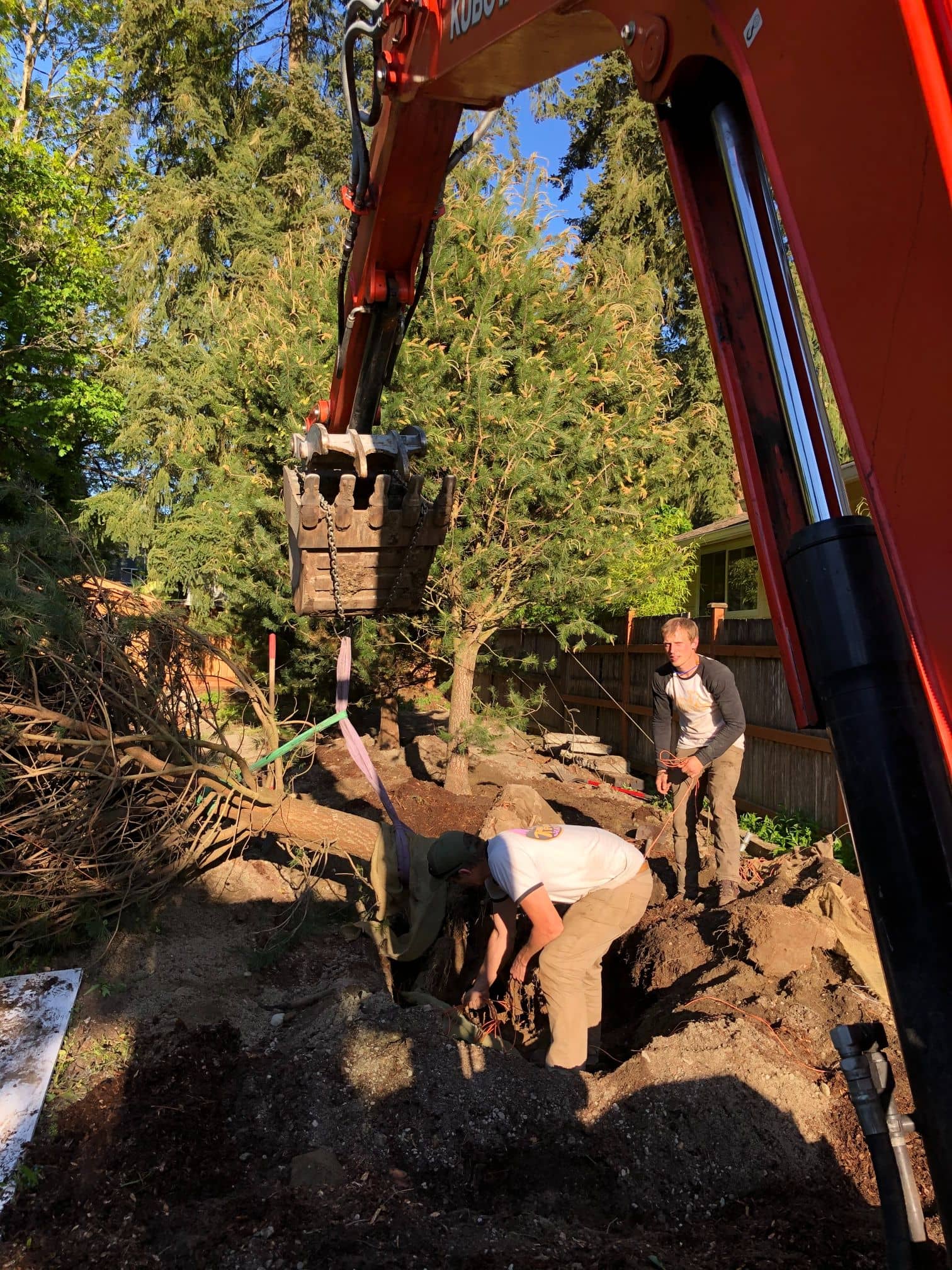 Tree Planting & Plant Delivery Tree People Tree Care