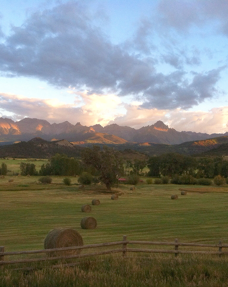 TREE Realty Telluride & Ridgway Real Estate