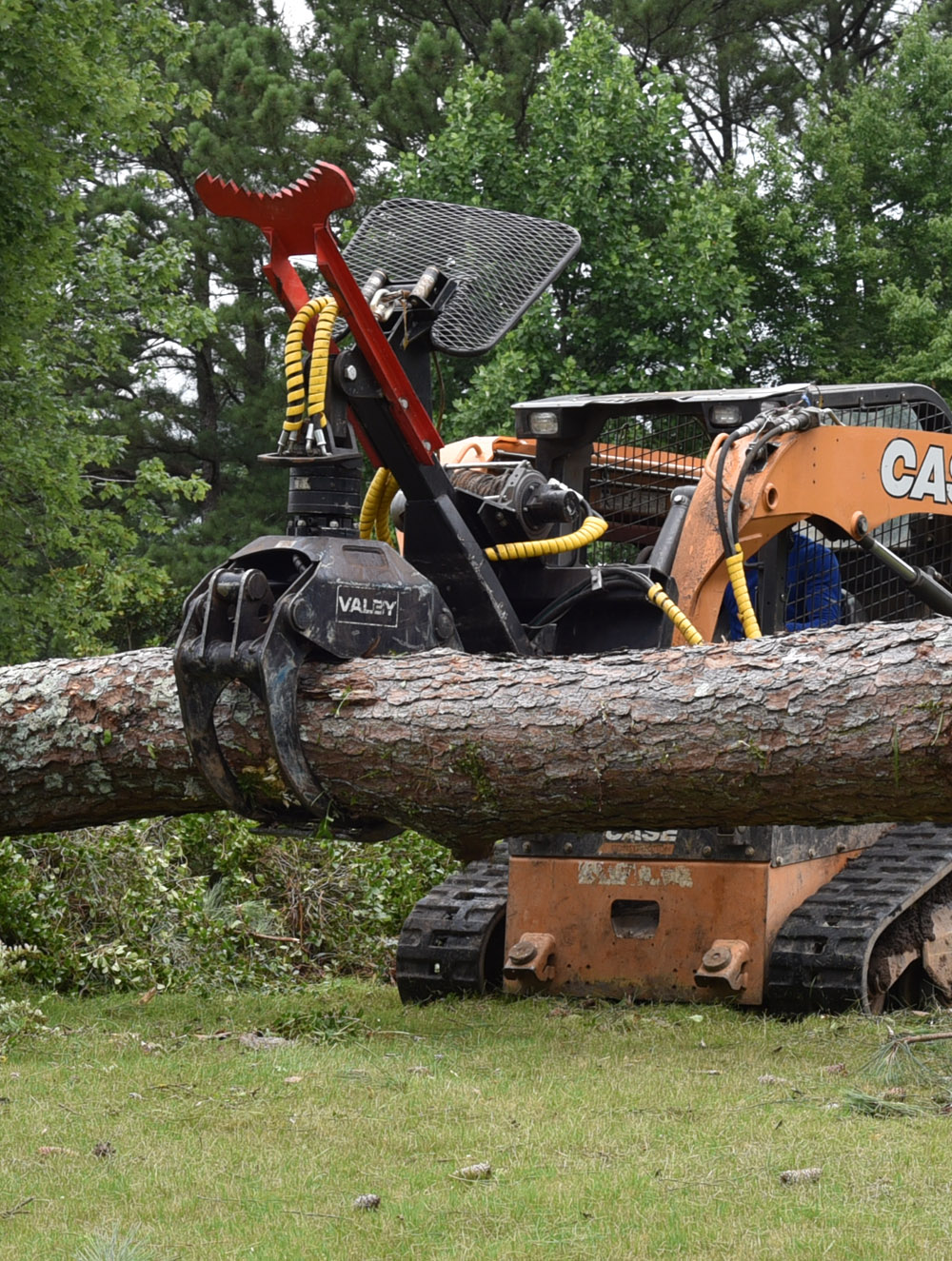 Atlanta Tree Removal Service 24/7 Emergency Tree Removal Services