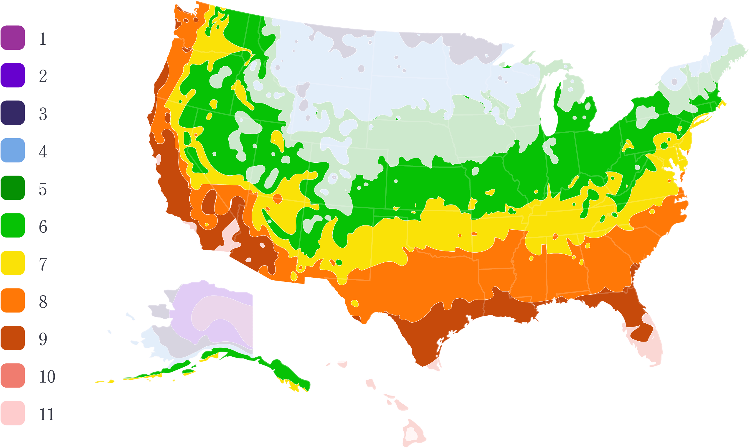 Red Tip Photinia Plants Buying & Growing Guide