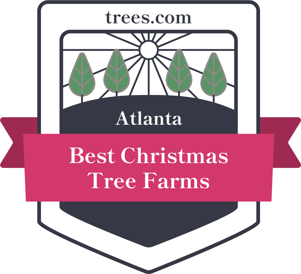 Best Christmas Tree Farms in Atlanta, GA