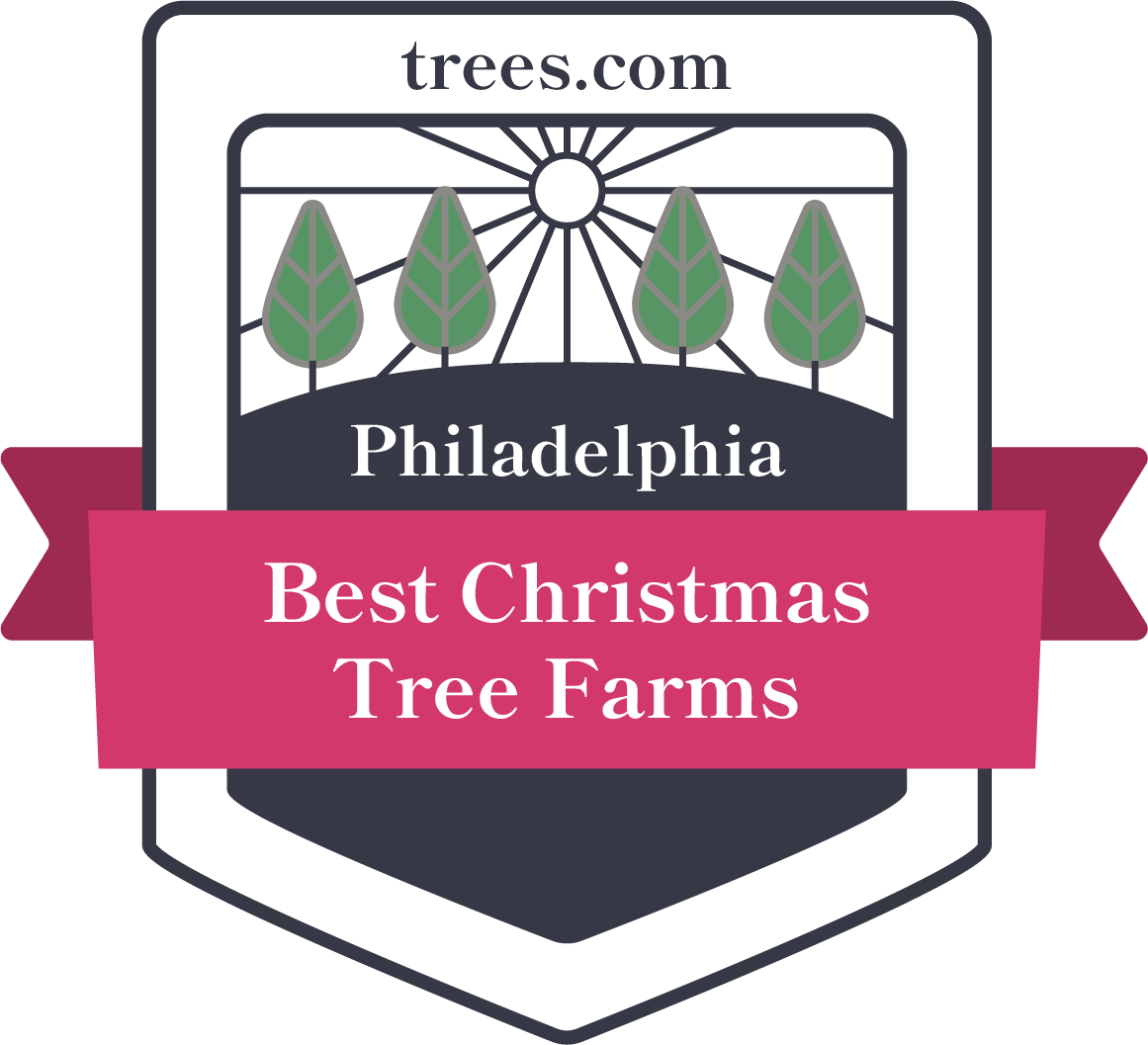 Best Christmas Tree Farms in Philadelphia, PA