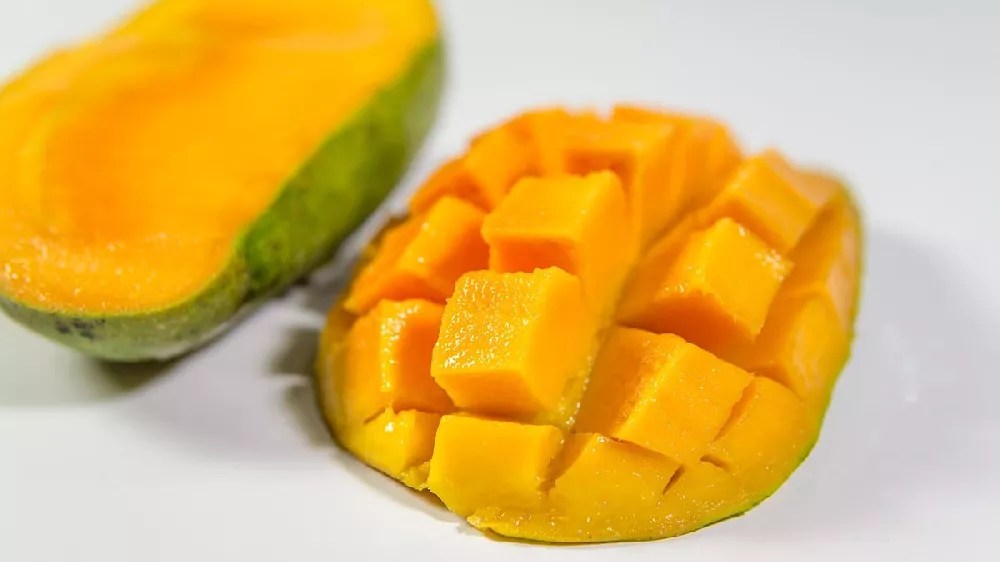 Alphonso Mango Tree for Sale Buying & Growing Guide