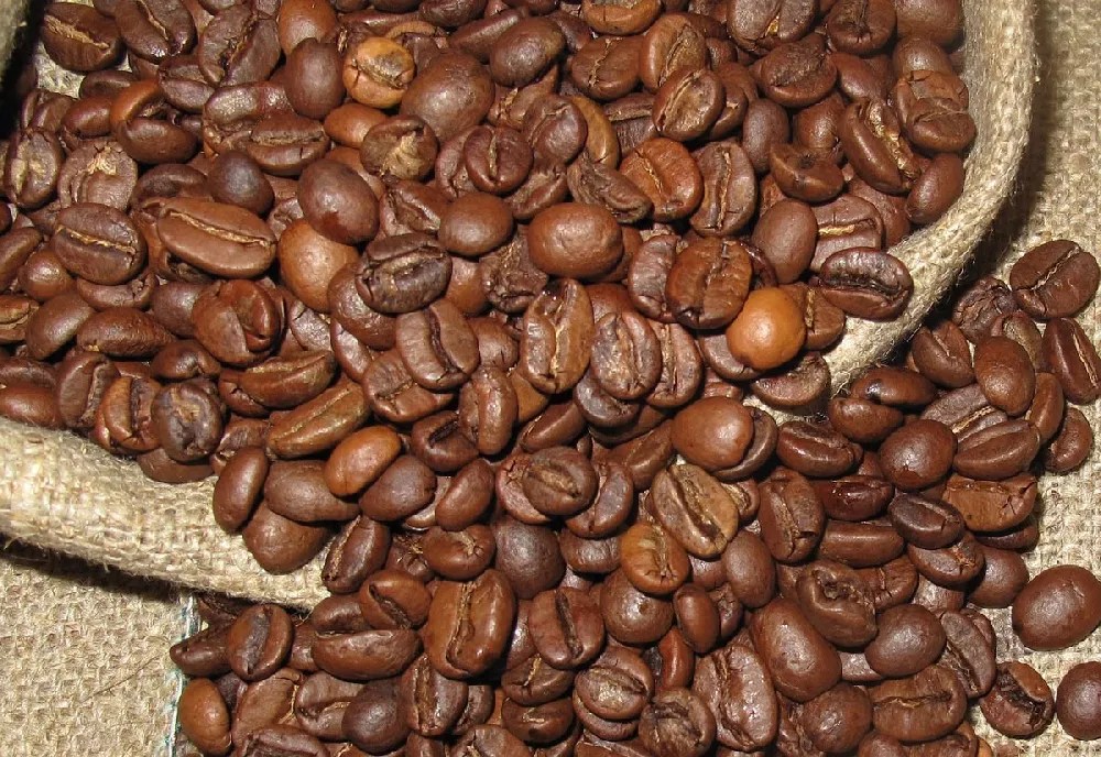 Coffee Plants for Sale Buying & Growing Guide