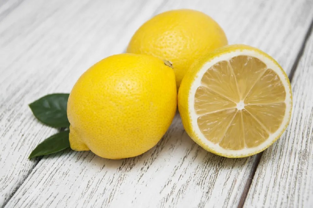 Eureka Lemon Tree for Sale