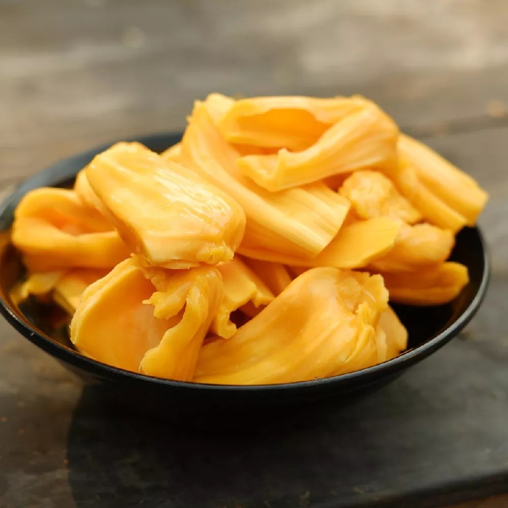 Jackfruit Tree for Sale Buying & Growing Guide
