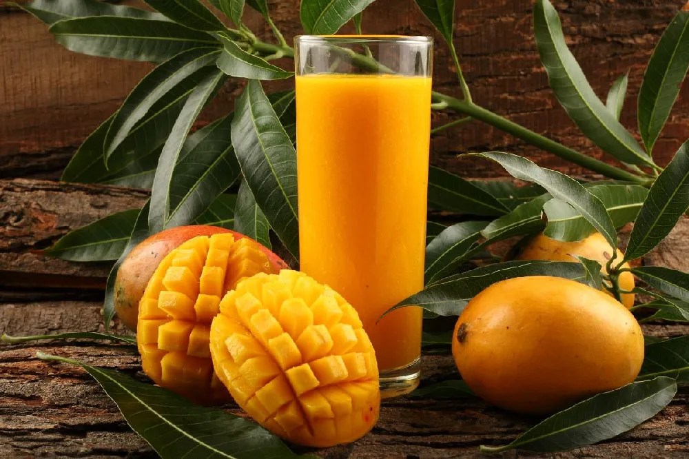 Alphonso Mango Tree for Sale Buying & Growing Guide