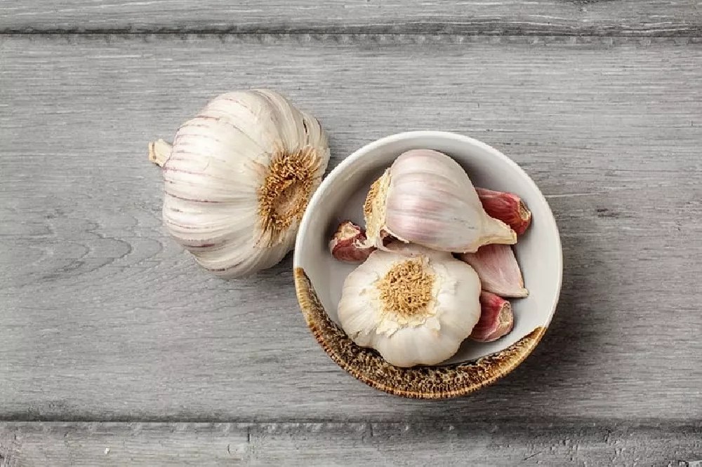 Garlic Plants for Sale Buying & Growing Guide