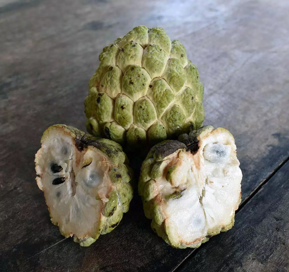 Sugar Apple Tree for Sale Buying & Growing Guide