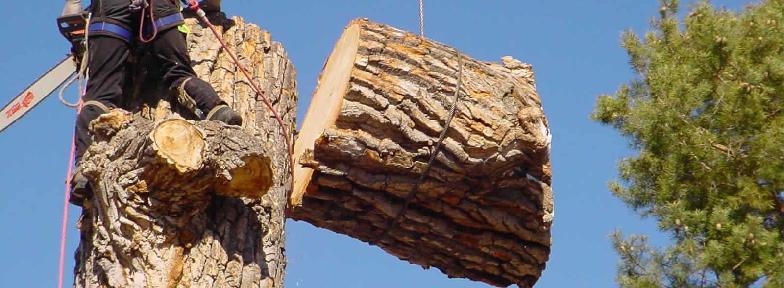 Please Contact Us for a Free Estimate