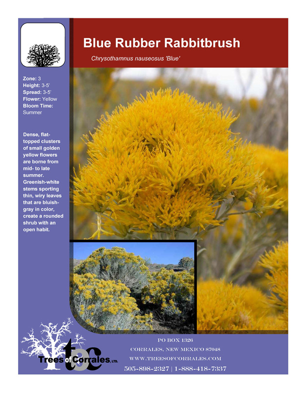 Full Product List Wholesale Plant Nursery Albuquerque